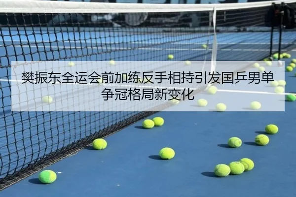 樊振东全运会前加练反手相持引发国乒男单争冠格局新变化